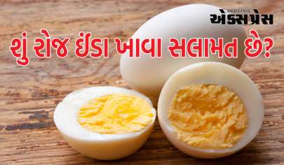 Eggs: શું શિયાળામાં દરરોજ ઈંડા ખાવા સલામત છે? જાણો શું કહે છે નિષ્ણાતો