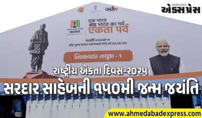 રાષ્ટ્રીય એકતા દિવસની ઉજવણી માટે એકતાનગર ઝગમગ બન્યું, પ્રવાસીઓમાં ઉત્સાહ