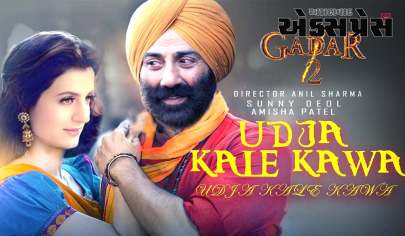 Gadar 2 Song Release:  Udd Ja Kale Kawa 2 જૂની યાદો પાછી લાવી, 2 કલાકમાં 1.2 મિલિયન વ્યૂઝ મળ્યા