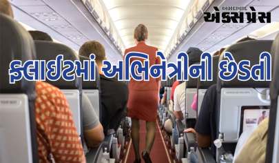 Harassment In Flight : આ ફેમસ એક્ટ્રેસ પર ફ્લાઈટમાં હેરેસમેન્ટનો આરોપ