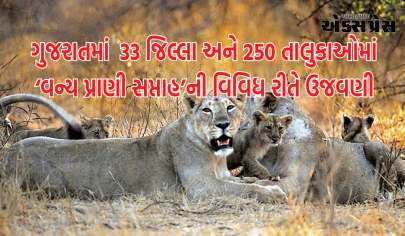 ગુજરાતમાં  ૩૩ જિલ્લા અને ૨૫૦ તાલુકાઓમાં ‘વન્ય પ્રાણી સપ્તાહ’ની વિવિધ રીતે ઉજવણી કરાશે