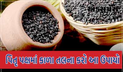પિતૃ પક્ષમાં કાળા તલના આ ઉપાયોથી સાત પેઢી સુધી ધનની પ્રાપ્તિ થાય છે, પિતૃઓને મોક્ષની પ્રાપ્તિ થાય છે