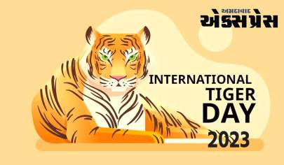 International Tiger Day 2023: વિશ્વમાં સૌથી વધુ વાઘ ભારતમાં છે, આ સ્થિતિ એવી રીતે હાંસલ થઈ ન હતી, આંકડાઓ પોતે જ સાક્ષી આપે છે