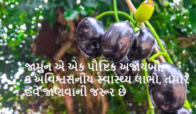 જામુનઃ જામુન ખાવાના છે આ 9 ફાયદા અને સ્વાસ્થ્ય લાભો