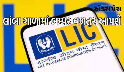 LIC લાંબા ગાળામાં બમ્પર વળતર આપશે, નિષ્ણાત 65% અપસાઇડનો આક્રમક લક્ષ્ય આપે છે