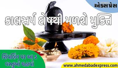 Nag Panchami 2025: નાગ પંચમી પર શિવલિંગ પર આ 5 વસ્તુઓ ચઢાવો, કાલસર્પ દોષથી મળશે મુક્તિ 