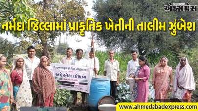 નર્મદા જિલ્લામાં પ્રાકૃતિક કૃષિ ક્રાંતિ, ATMA પ્રોજેક્ટ હેઠળ તાલીમ અને મોડેલ ફાર્મ મુલાકાત – ખેડૂતોને ઓછા ખર્ચે વધુ ઉત્પાદનના ટિપ્સ
