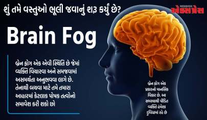 નબળી યાદશક્તિ અને મૂંઝવણ બ્રેન ફોગના લક્ષણો હોઈ શકે છે, નિવારણ માટે આહારમાં આ જરૂરી પોષક તત્વોનો સમાવેશ કરો