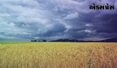 બાગાયતદાર ખેડૂત મિત્રોને બદલાતા વાતાવરણ (વાવાઝોડું/વરસાદ) ધ્યાને પગલાં લેવા અનુરોધ