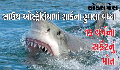 Shark Attack: સાઉથ ઓસ્ટ્રેલિયામાં ફરી એકવાર શાર્કે માનવ પર હુમલો કર્યો, 15 વર્ષના સર્ફરનું મોત