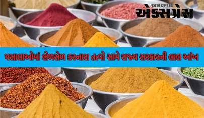 ખાદ્ય મસાલાઓમાં ભેળસેળ કરનારા તત્વો સામે રાજ્ય સરકારની લાલ આંખ