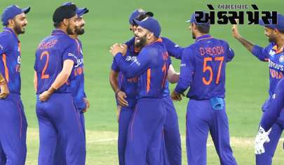 Team India: 2024માં ભારતના આ ચાર બોલર્સનો દબદબો! વર્લ્ડ કપમાં પણ તબાહી મચાવી શકે છે