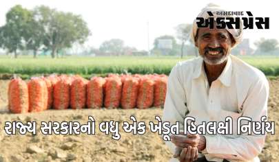 રાજ્યભરમાં આગામી તા. ૨૦મી જૂનથી ઉનાળુ મગની ટેકાના ભાવે ખરીદી શરુ થશે