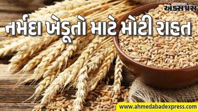 રાજ્ય સરકાર દ્વારા રવિ માર્કેટીંગ સીઝન ૨૦૨૬-૨૭ અંતર્ગત ખેડુતો પાસેથી લઘુતમ ટેકાના ભાવે ઘઉંની સીધી ખરીદી કરાશે