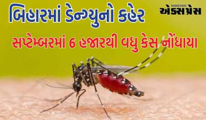 બિહારમાં ડેન્ગ્યુનો ડંખ ભારે પડી રહ્યો છે, સપ્ટેમ્બરમાં 6 હજારથી વધુ કેસ નોંધાયા હતા