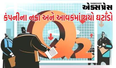 આ કંપનીના નફા અને આવકમાં ઘટાડો થયો હતો, શેરે વેગ પકડ્યો હતો