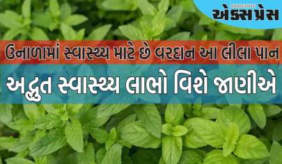 ઉનાળામાં સ્વાસ્થ્ય માટે વરદાન સાબિત થઈ શકે છે આ લીલા પાંદડા