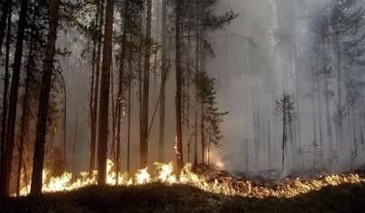 કેનેડાના જંગલી આગમાંથી અભૂતપૂર્વ ધુમાડો નોર્વે સુધી પહોંચ્યો, આબોહવાની ચિંતાઓ વધારી