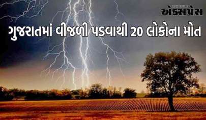 ગુજરાતમાં કમોસમી વરસાદે તબાહી મચાવી, વીજળી પડવાથી 20 લોકોના મોત થયા
