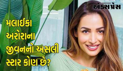 મલાઈકા અરોરાના જીવનનો અસલી સ્ટાર કોણ છે? અર્જુન કપૂરે ગર્લફ્રેન્ડની પોસ્ટ પર કોમેન્ટ કરીને બ્રેકઅપનું સત્ય ખોલ્યું