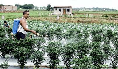 ખાતરની આયાત માટે ભારતનો નવો એક્શન પ્લાન