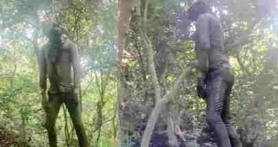 મહીસાગર: નદીનાથ જંગલમાં PDC બેંક કર્મચારીનો મૃતદેહ ઝાડ પર મળ્યો