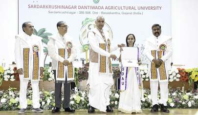 SDAU 21મો પદવીદાન સમારોહ: 36 તેજસ્વીઓને 39 ગોલ્ડ મેડલ એનાયત