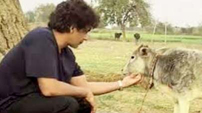 સુનીલ ગ્રોવરના હાઈવે પર નવા મિત્રો: કોમેડી સ્ટારે વાછરડાને ખવડાવી જીત્યા દિલ